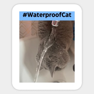 Waterproof Cat Sticker